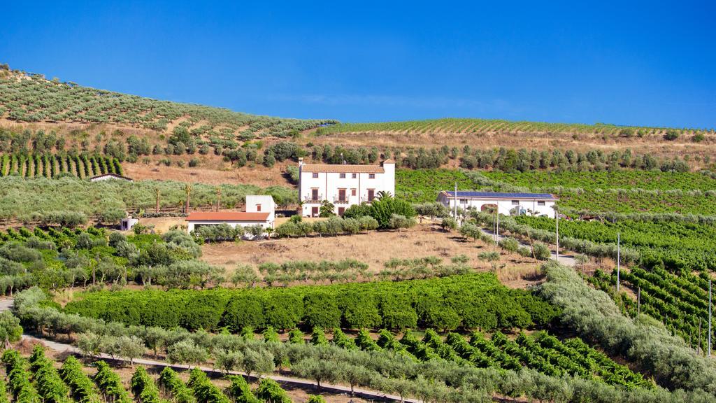 ריברה Tenute Piazza Countryhouse מראה חיצוני תמונה