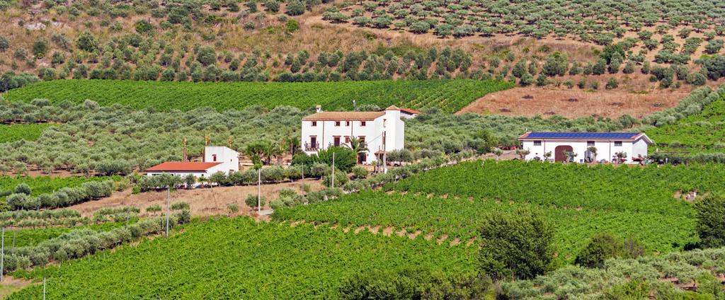ריברה Tenute Piazza Countryhouse מראה חיצוני תמונה